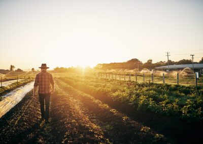 Male farmer tending to his crops on the farm