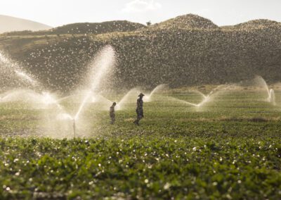 The farmer watering with sprinklers