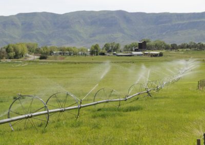 Irrigation of a field for agriculture